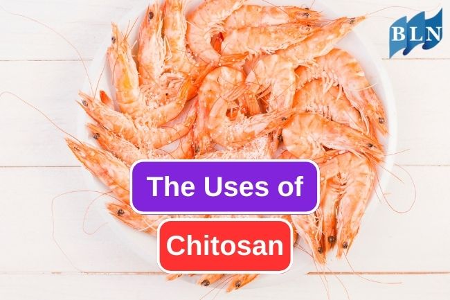 7 Uses Of Chitosan in Human Activity